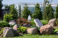 Благоустройство и озеленение участка в д Олики 3 фото - мини - 18