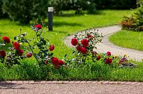 Ландшафтный дизайн участка в Оликах 2 - мини - 11