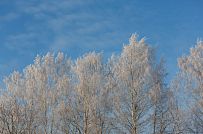 Энергоэффективный комбинированный дом построен в сочетании каркасной технологии и газобетона в селе Орлино в Гатчинском районе Ленинградской области - мини - 3