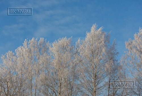 Энергоэффективный комбинированный дом построен в сочетании каркасной технологии и газобетона в селе Орлино в Гатчинском районе Ленинградской области - 3