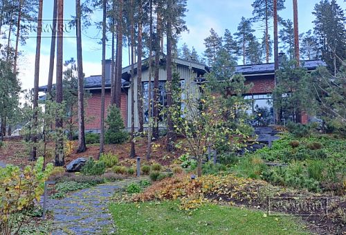 Сосновая аллея - 39