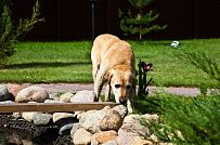 Строительство каркасного теплого дома с террасой и балконом в п Энколово - мини - 20