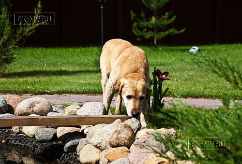 Строительство каркасного теплого дома с террасой и балконом в п Энколово - 20
