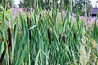 Строительство двухэтажного каркасного дома в КП Охтинская Долина - мини - 4