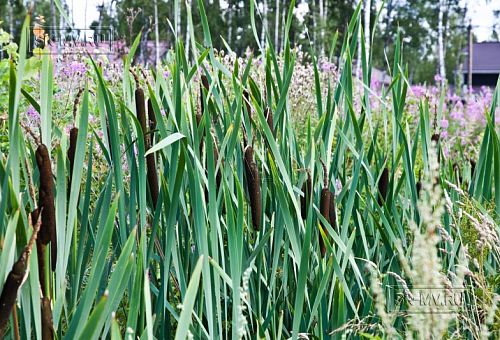 Строительство двухэтажного каркасного дома в КП Охтинская Долина - 4