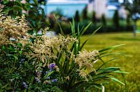 Ландшафтное проектирование участка в Сосновом бору 4 - мини - 8