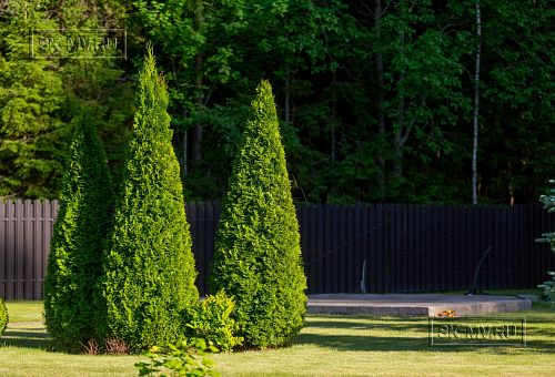 Одноэтажная усадьба в английском стиле в КП Галактика, технология каркас - 24