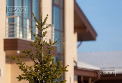 Ландшафтный дизайн участка в Пениках 1 - 8