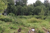 Руза Фэмили Парк - мини - 5