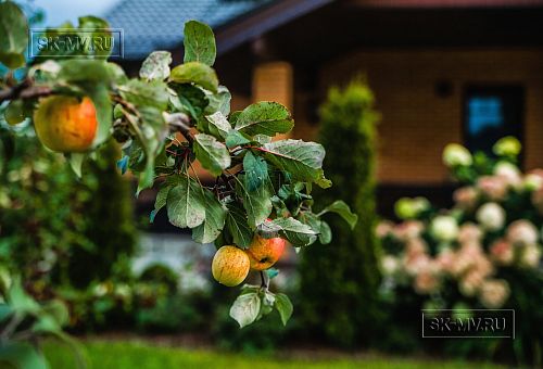 Ландшафтное проектирование участка в Сосновом бору 4 - 4