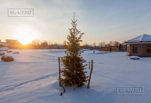 Ландшафтный дизайн участка в Пениках 1 - 7
