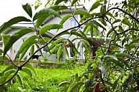 Строительство двухэтажного каркасного дома чуть более 200 кв м в скандинавском стиле в деревне Юкки - мини - 14