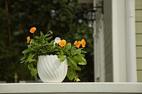 Строительство надежного каркасного дома с эркером и террасой в поселке Озерки - мини - 8