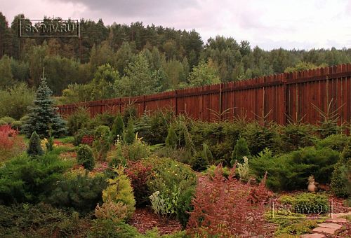 Ландшафтная архитектура участка в Зеркальном - 8