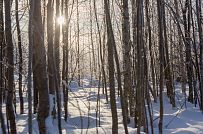 Энергоэффективный комбинированный дом построен в сочетании каркасной технологии и газобетона в селе Орлино в Гатчинском районе Ленинградской области - мини - 2