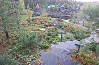 Сосновая аллея - мини - 8