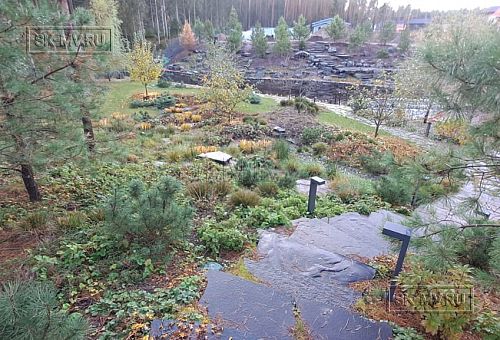 Сосновая аллея - 8