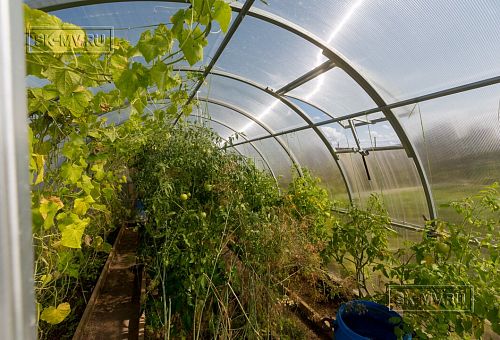 Ландшафтная архитектура участка в Пегелево - 28