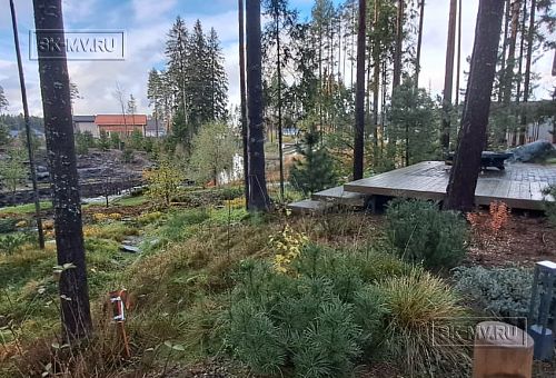 Сосновая аллея - 24