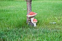 Строительство двухэтажного каркасныого коттеджа с террасой в деревне Порошкино - мини - 13