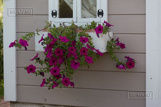 Мини домики--2