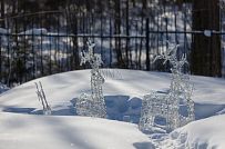 Ландшафтный дизайн участка в Малом Репино - мини - 8