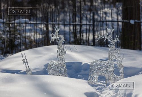Ландшафтный дизайн участка в Малом Репино - 8