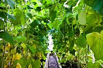 Строительство небольшого двухэтажного каркасного дома 165 кв м с бежевым сайдингом и зеленой крышей в СНТ Учитель - мини - 16