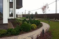 Ландшафтный дизайн участка в Оликах 2 - мини - 2