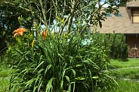 Строительство двухэтажного каркасного коттеджа 263 кв м с балконом, террасой и навесом для автомобилей в п Володарский - мини - 29