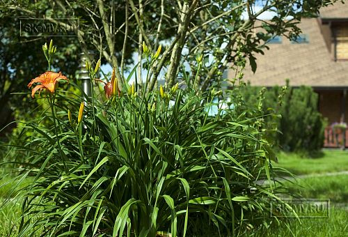 Строительство двухэтажного каркасного коттеджа 263 кв м с балконом, террасой и навесом для автомобилей в п Володарский - 29