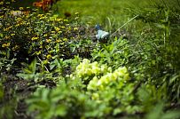 Строительство двухэтажного каркасного коттеджа 263 кв м с балконом, террасой и навесом для автомобилей в п Володарский - мини - 16