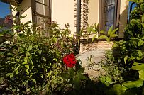 Ландшафтный дизайн территории домовладения в Северной короне 61 - мини - 7