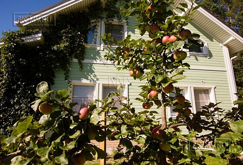 Строительство теплого каркасного дома 185 кв м для постоянного проживания в Северная корона 79 в Волочаевке - 10