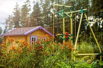 Ландшафтный дизайн участка в Сосновом бору 7 - мини - 11