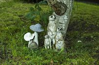 Ландшафтный дизайн территории домовладения в Володарском 5 - мини - 10