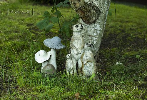 Ландшафтный дизайн территории домовладения в Володарском 5 - 10