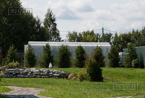 Благоустройство и озеленение участка в д Олики 3 фото - 23