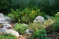 Построенный каркасный дом с комбинированной фасадной отделкой кирпичом и вагонкой в п Комарово - мини - 3