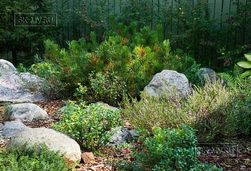 Построенный каркасный дом с комбинированной фасадной отделкой кирпичом и вагонкой в п Комарово - 3