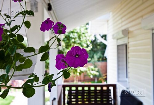 Строительство небольшого двухэтажного каркасного дома 165 кв м с бежевым сайдингом и зеленой крышей в СНТ Учитель - 13