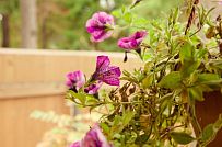 Строительство зимнего каркасного дома 175 кв м с эркером и мансардным этажом в п Вырица - мини - 3