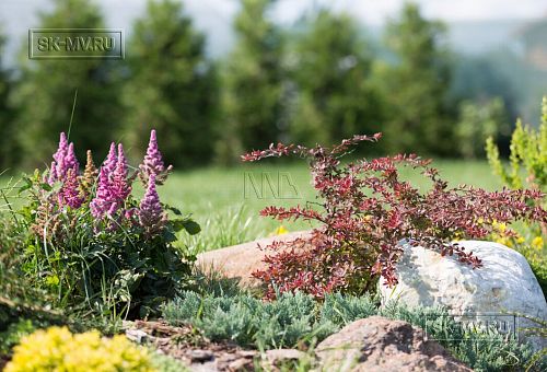 Благоустройство и озеленение участка в д Олики 3 фото - 6