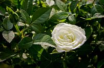 Строительство каркасного теплого зимнего дома 180 кв м для круглогодичного проживания Смартвилль 2 Москва - мини - 5