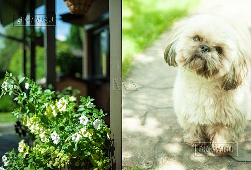 Строительство двухэтажного каркасного дома около 250 кв м с мансардными окнами и разноуровневой кровлей в п Володарский - 4