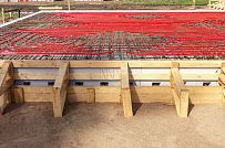 Монтаж индивидуального расчётного фундамента УШП PRO для строительства кирпичного одноэтажного дома в Репино, Лениградская обл. - мини - 16