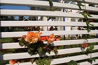 Строительство каркасного дома с навесом для автомобиля в п Пески - мини - 11