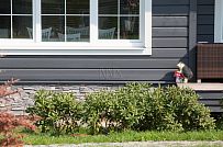 Благоустройство и озеленение участка в д Олики 3 фото - мини - 13