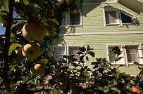 Ландшафтный дизайн территории домовладения в Северной короне 79 - мини - 17