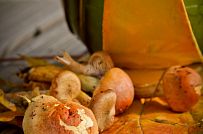 Строительство двухэтажного каркасного коттеджа 180 кв м в альпийском стиле в КП Смартвилль Москва - мини - 7